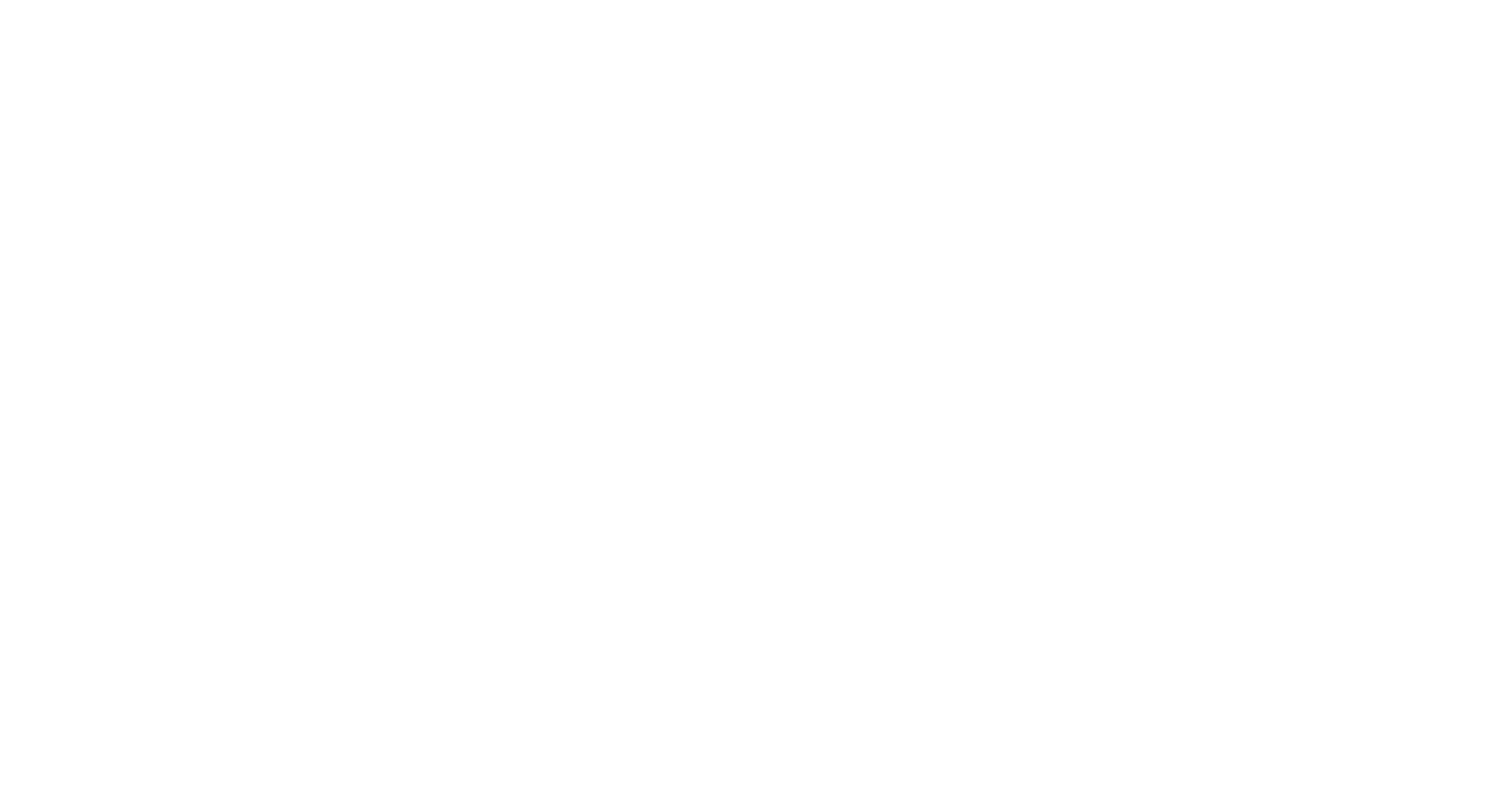 BNR Logo